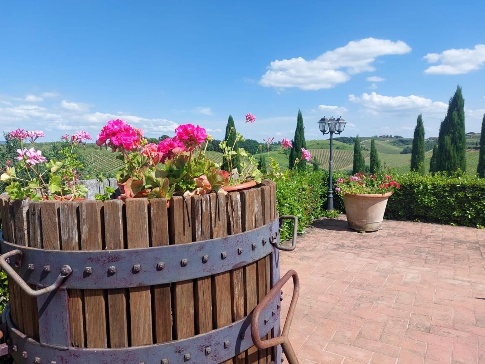 Agriturismo Corte In Poggio Stabbia ภายนอก รูปภาพ