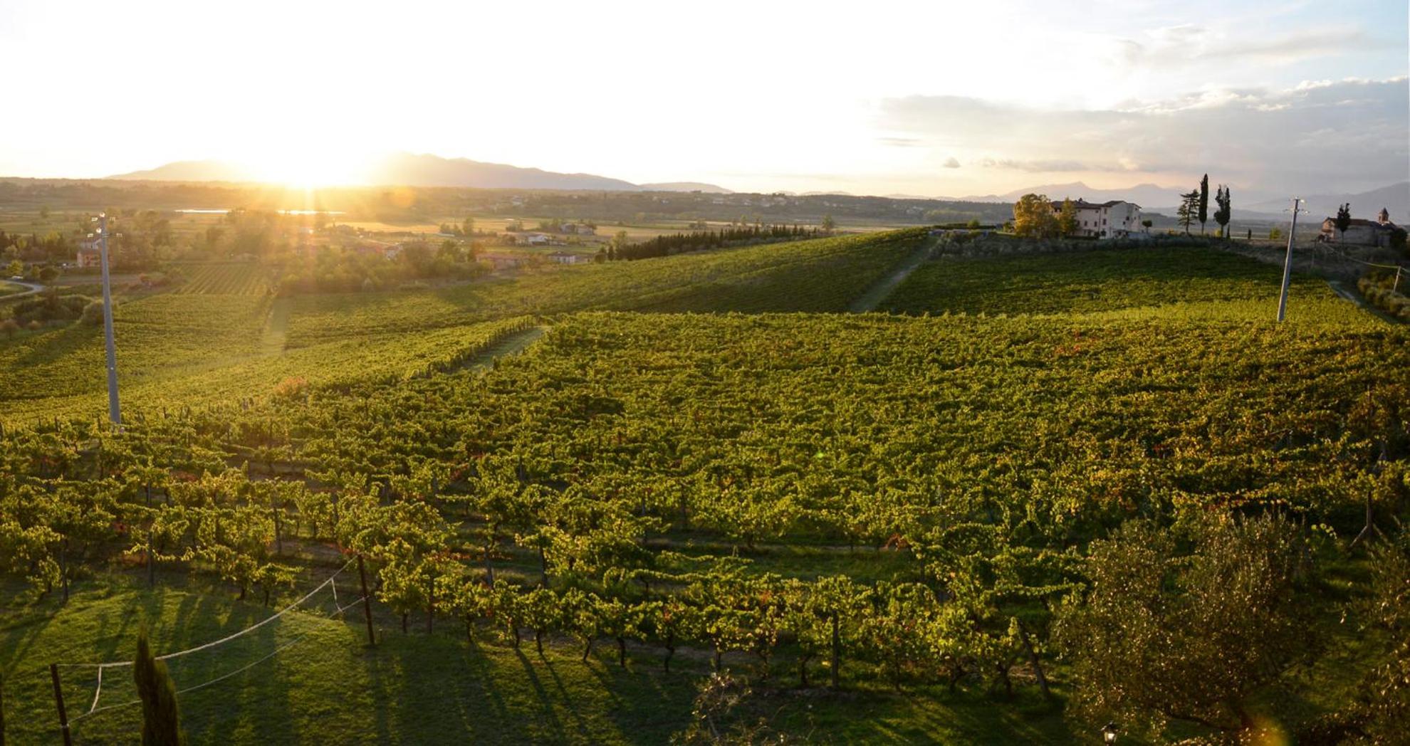 Agriturismo Corte In Poggio Stabbia ภายนอก รูปภาพ