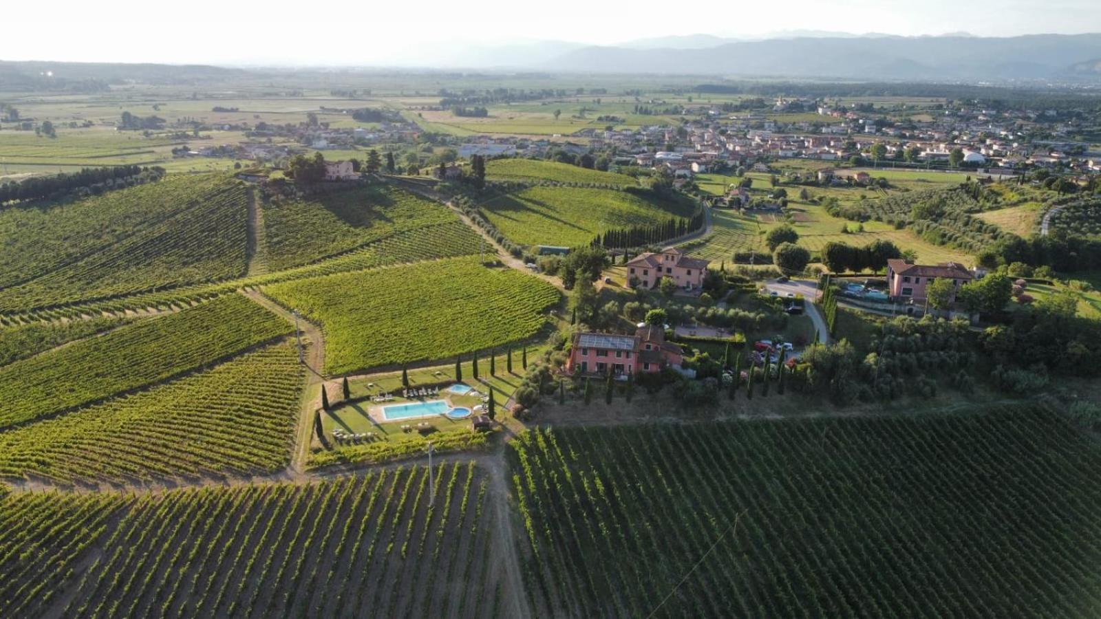 Agriturismo Corte In Poggio Stabbia ภายนอก รูปภาพ
