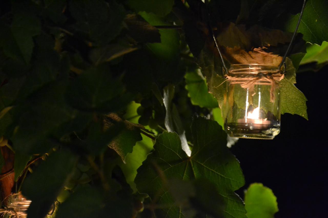 Agriturismo Corte In Poggio Stabbia ภายนอก รูปภาพ